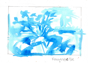 07 Skull Shoals (03 Manganese Blue) 5x7, watercolor