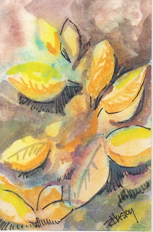 Botanical Garden 26... Sunshine Anise 4x6, mixed media (watercolor and ink)